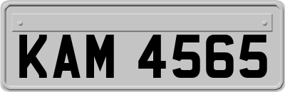 KAM4565