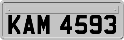 KAM4593