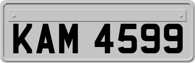 KAM4599