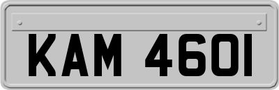 KAM4601