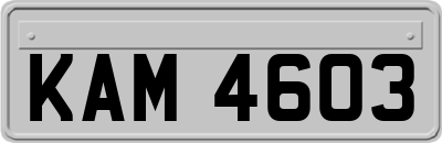 KAM4603