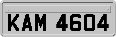 KAM4604