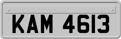 KAM4613