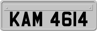 KAM4614