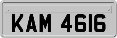 KAM4616