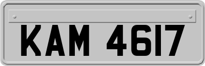 KAM4617