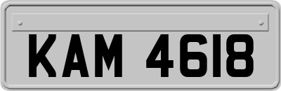 KAM4618