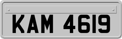 KAM4619