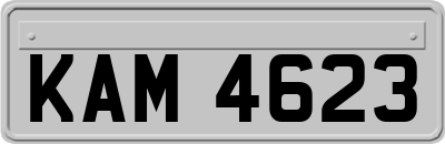 KAM4623