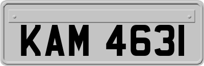KAM4631