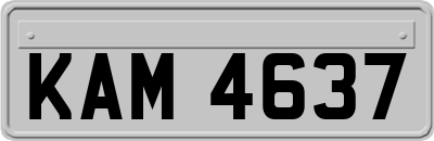 KAM4637