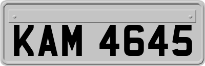KAM4645