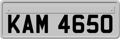 KAM4650