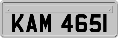 KAM4651
