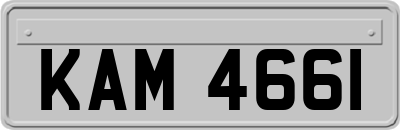 KAM4661