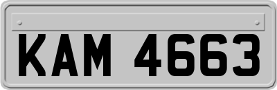 KAM4663