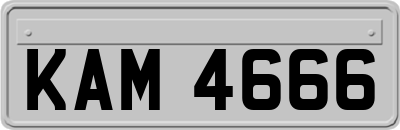 KAM4666