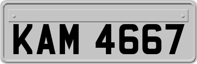 KAM4667