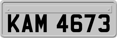 KAM4673