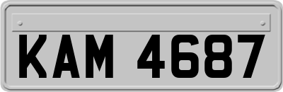 KAM4687