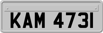 KAM4731