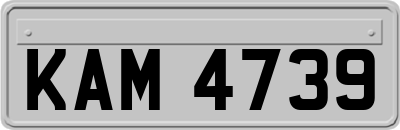 KAM4739