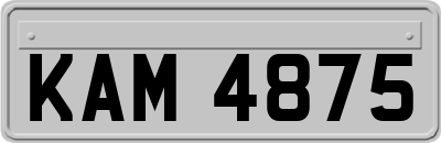 KAM4875