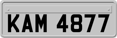 KAM4877