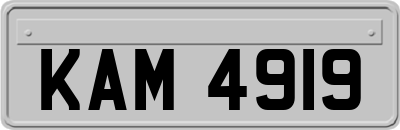 KAM4919