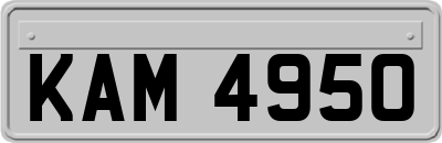 KAM4950