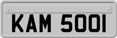 KAM5001