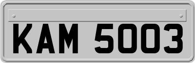 KAM5003