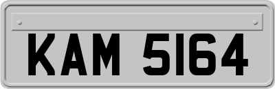KAM5164
