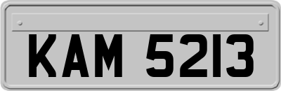 KAM5213