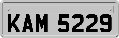 KAM5229