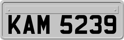 KAM5239