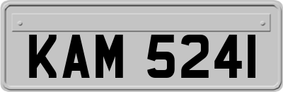 KAM5241