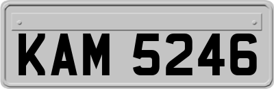 KAM5246