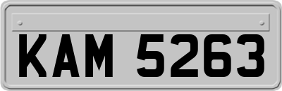 KAM5263