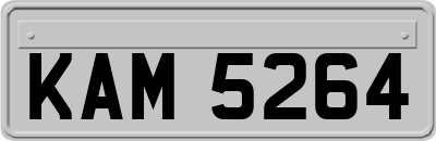 KAM5264