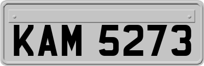 KAM5273
