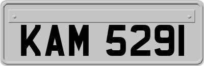 KAM5291