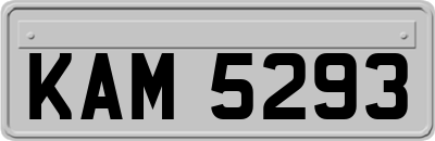 KAM5293