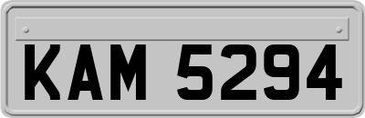 KAM5294