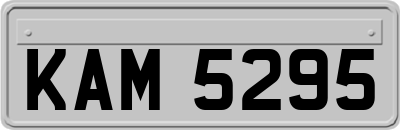 KAM5295
