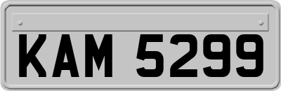 KAM5299