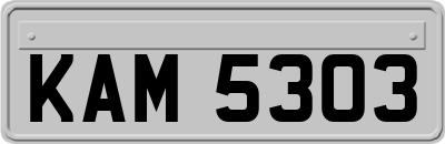 KAM5303