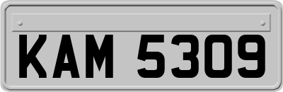 KAM5309