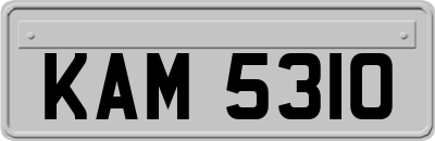 KAM5310