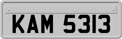 KAM5313
